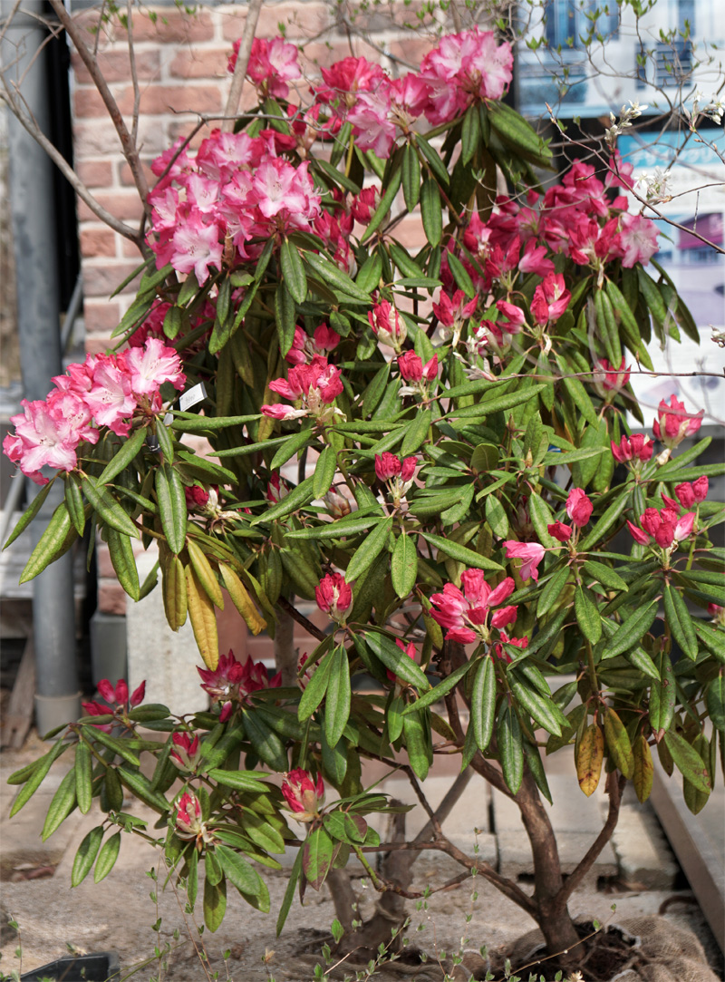 �~�Z�X�t�W�C