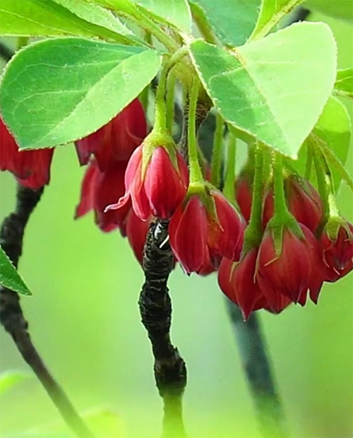 �x�j�h�E�_���c�c�W��