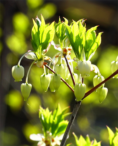 �E�_���c�c�W��