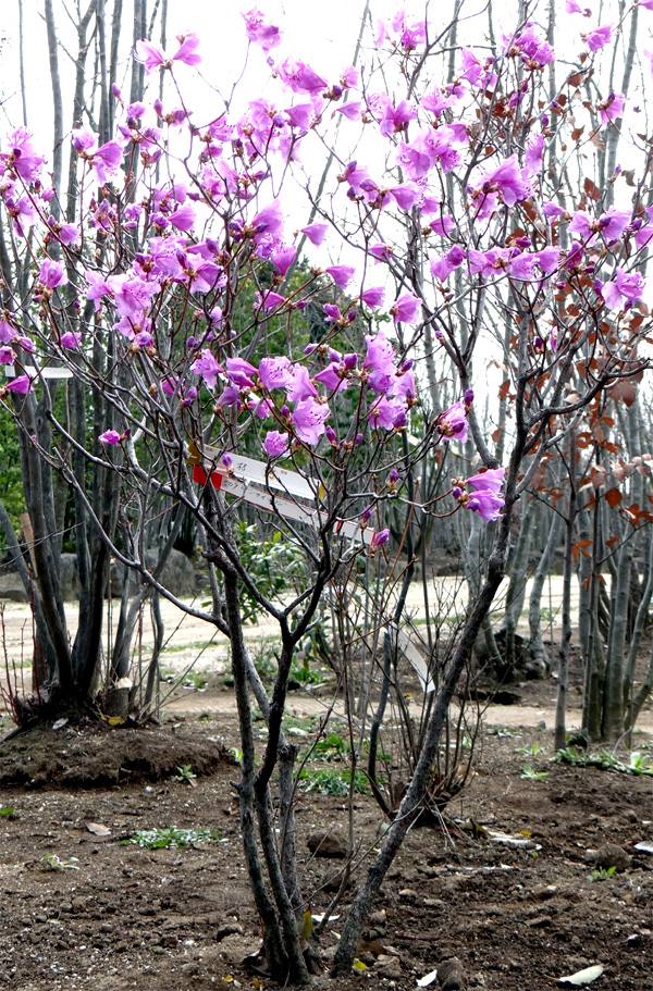 �Q���J�C�c�c�W