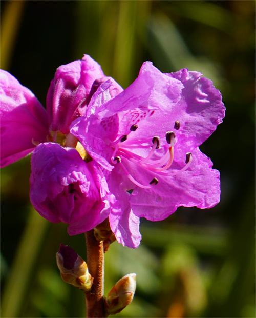 �Q���J�C�c�c�W