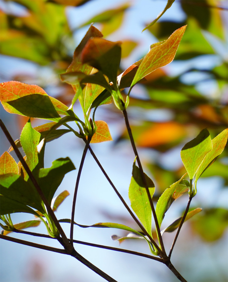 �h�E�_���c�c�W�t�`