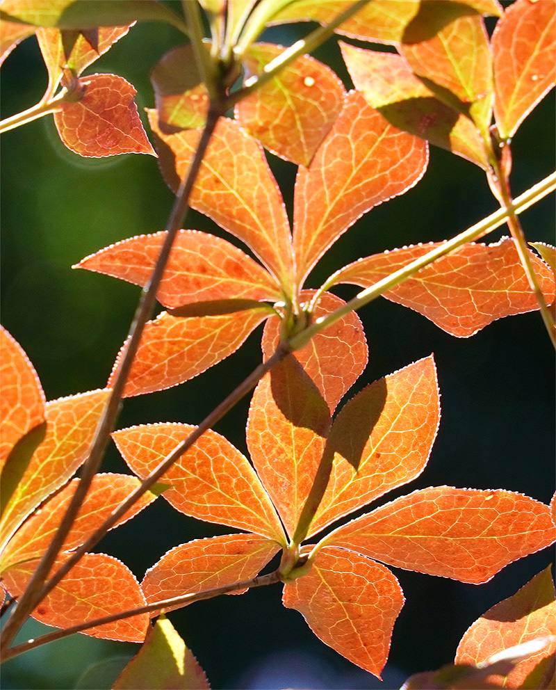 �h�E�_���c�c�W�t�`