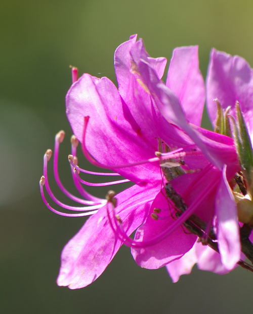 �~�c�o�c�c�W��