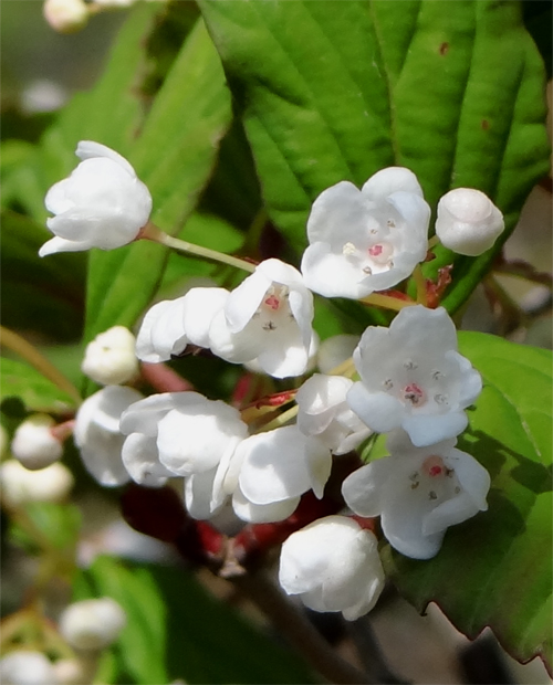 �I�g�R���E�]���ԏ�