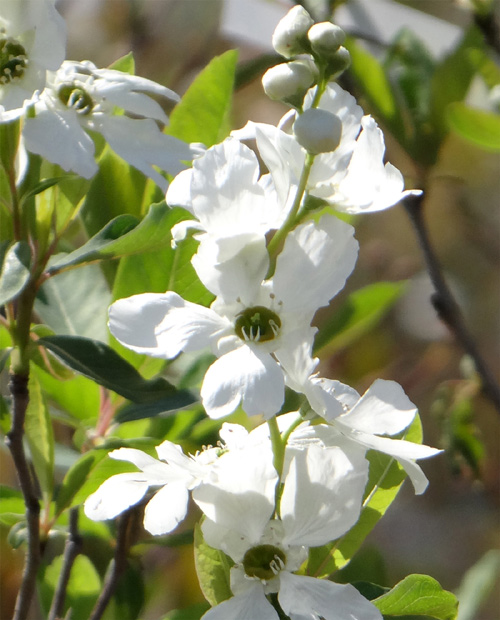 ���L���E�o�C��