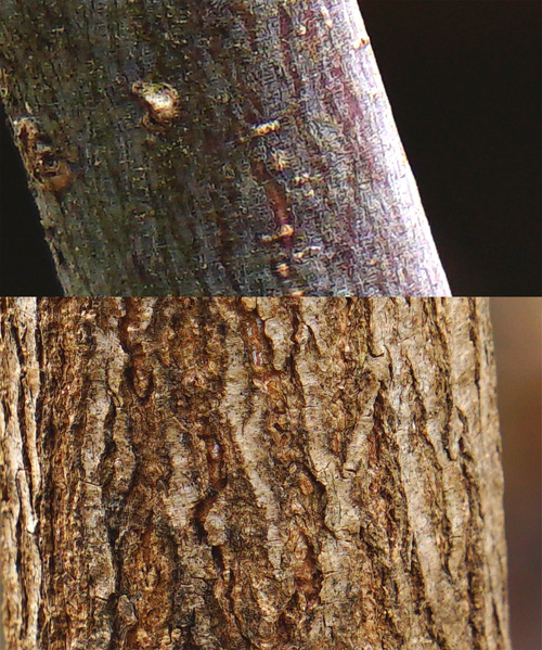 ���}���~�W�ؔ�