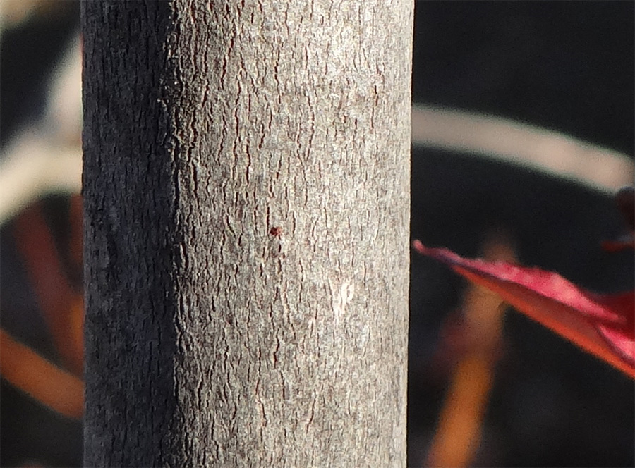 �~�c�o�c�c�W�g�t