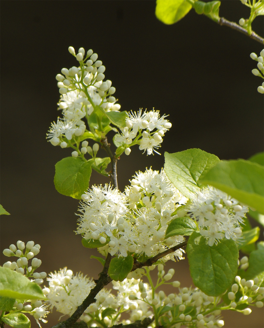 �T���t�^�M�ԏ�