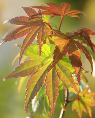 ���}���~�W�V��