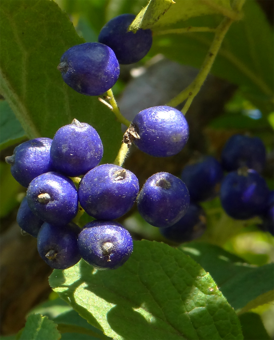 �T���t�^�M�ԏ�