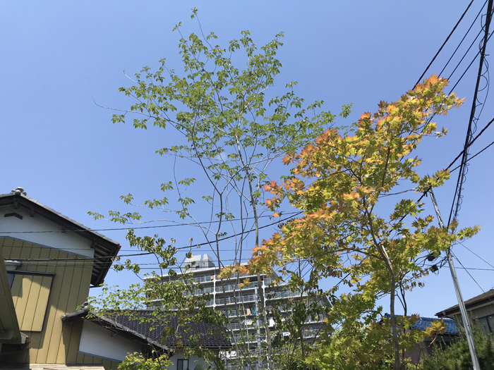 �߉ώs�H�����|