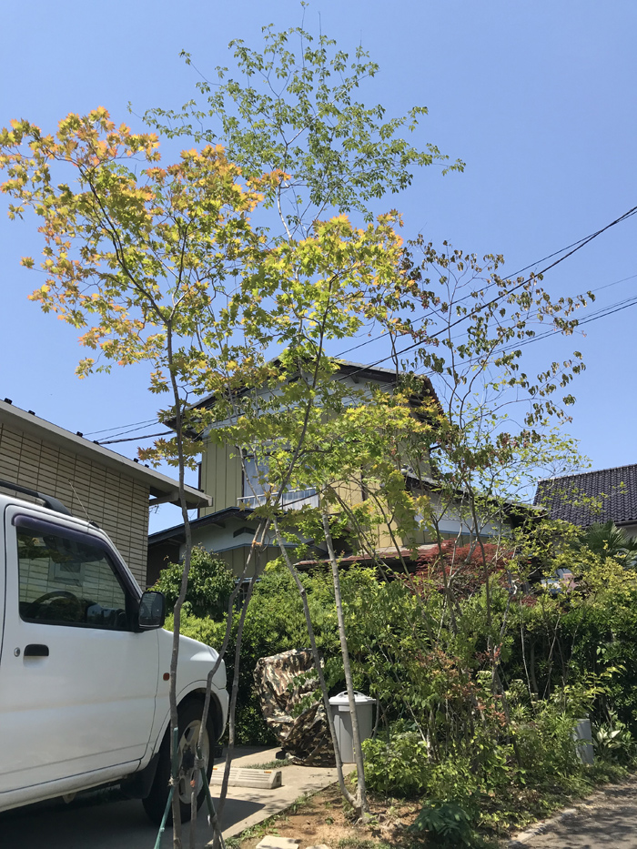 �߉ώs�H�����|