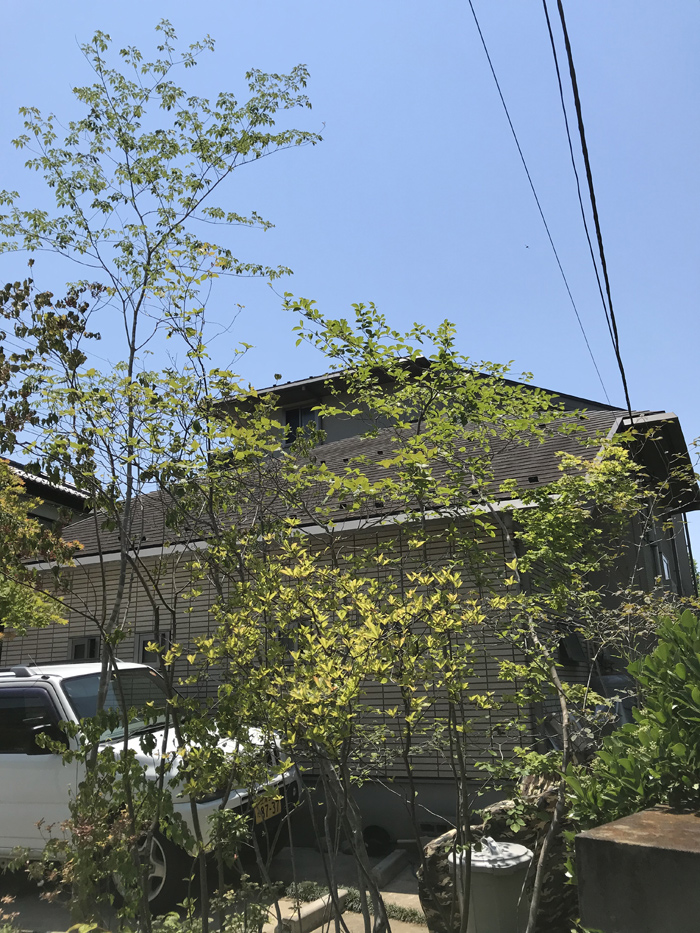 �߉ώs�E�H�����|