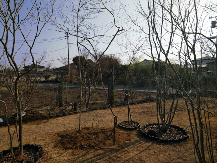 �߉ώsnmo�E�H�����|