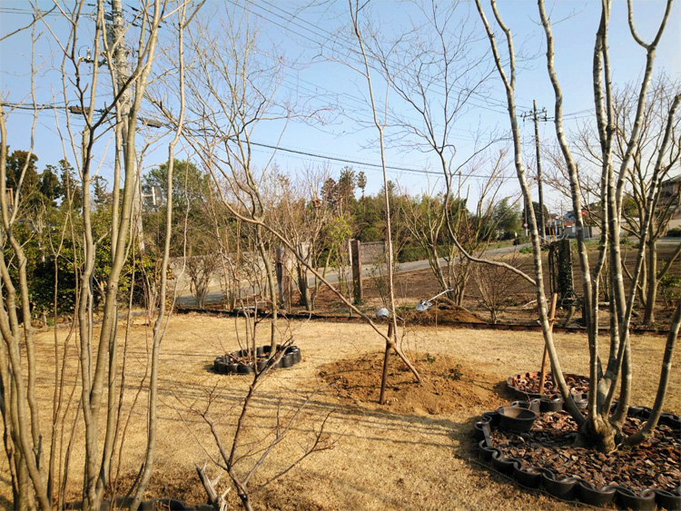 �߉ώsnmo�E�H�����|