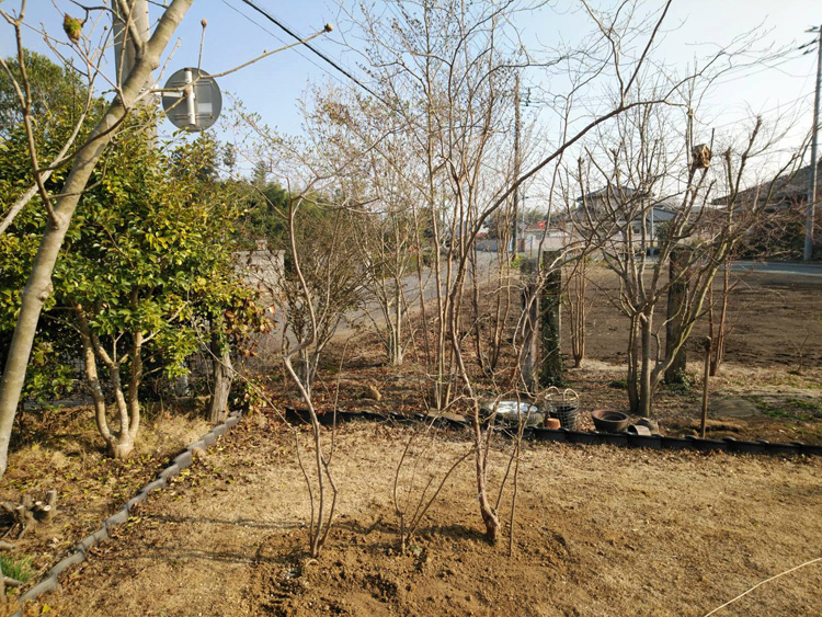 �߉ώsnmo�E�H�����|