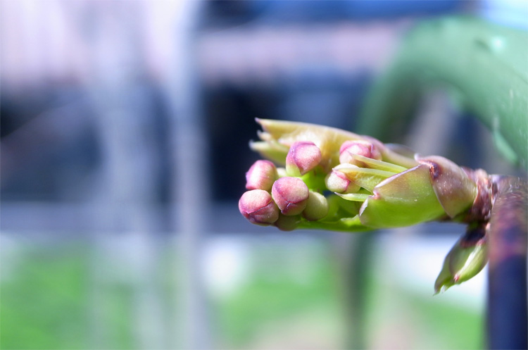 ���΂̂͂�E�H�����|