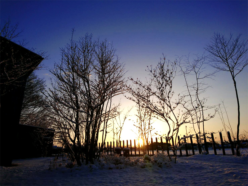 ���C������2019�E�H�����|