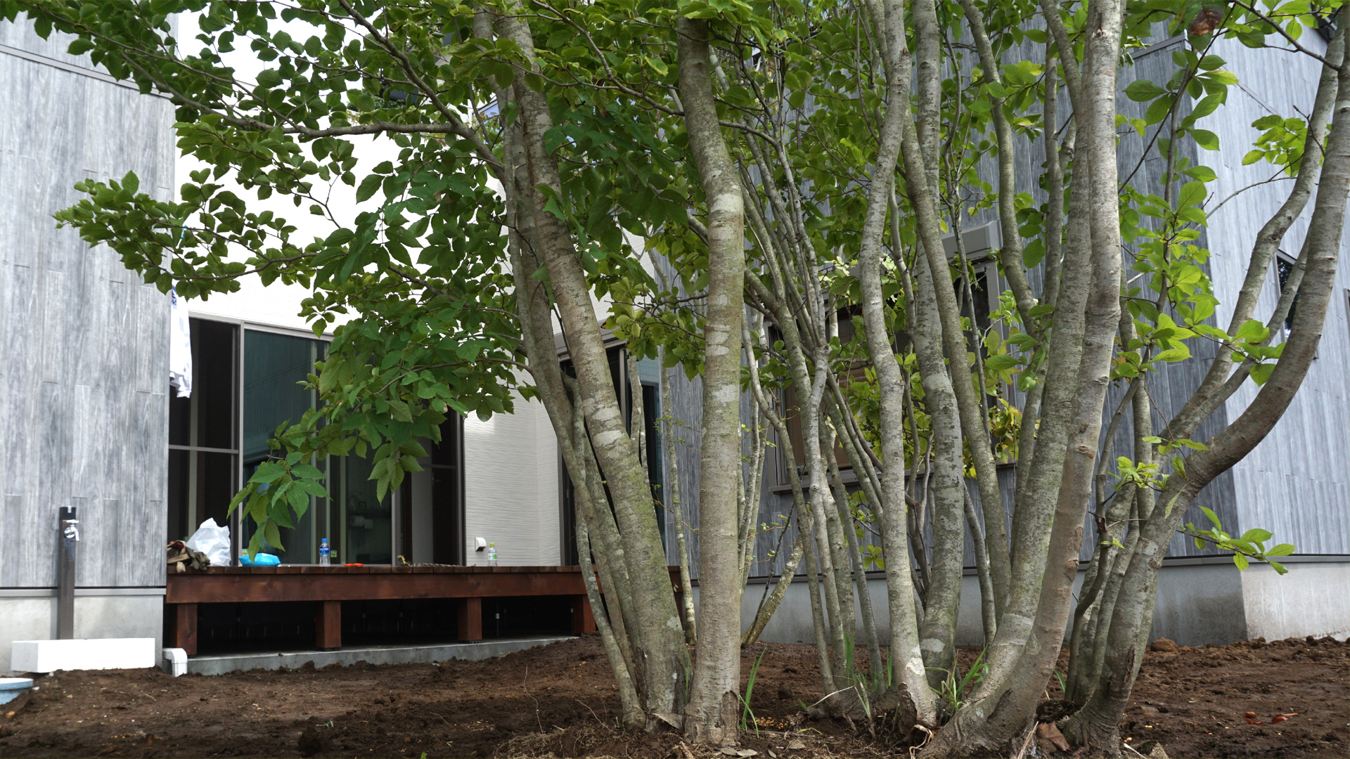 ���C�����ƁE�H�����|